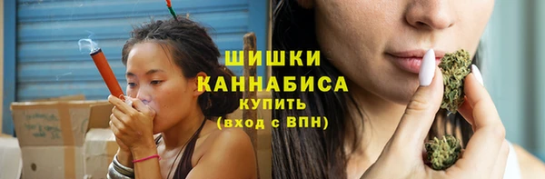 индика Кукмор