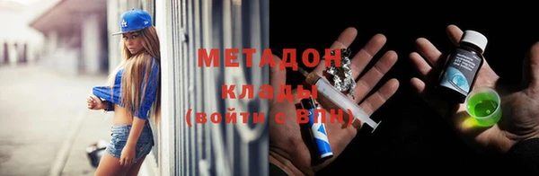прущие грибы Куйбышев