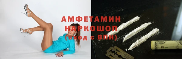 прущие грибы Куйбышев