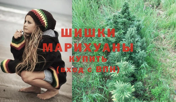 прущие грибы Куйбышев