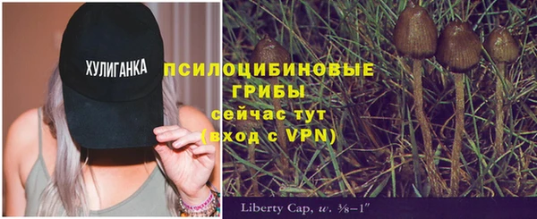индика Кукмор