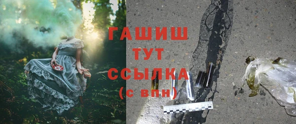 индика Кукмор