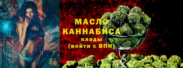индика Кукмор
