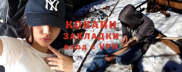 индика Кукмор