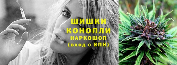 индика Кукмор