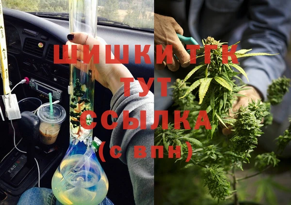 индика Кукмор