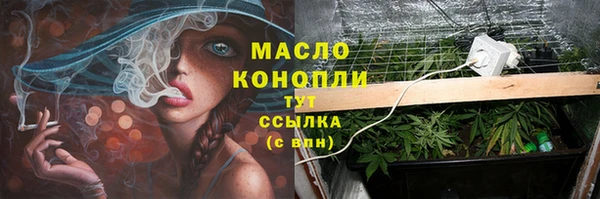 стафф Кулебаки