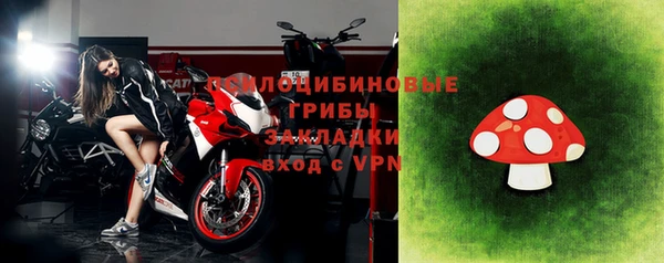 стафф Кулебаки
