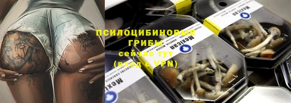 индика Кукмор